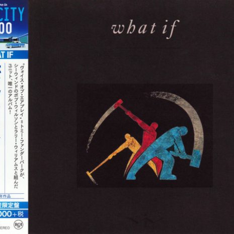 What If - What If (CD)